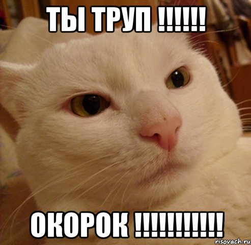 ты труп !!! окорок !!!