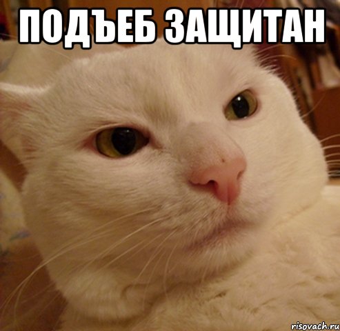 подъеб защитан 
