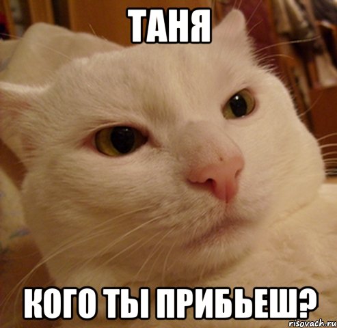 таня кого ты прибьеш?