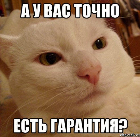 а у вас точно есть гарантия?, Мем Дерзкий котэ