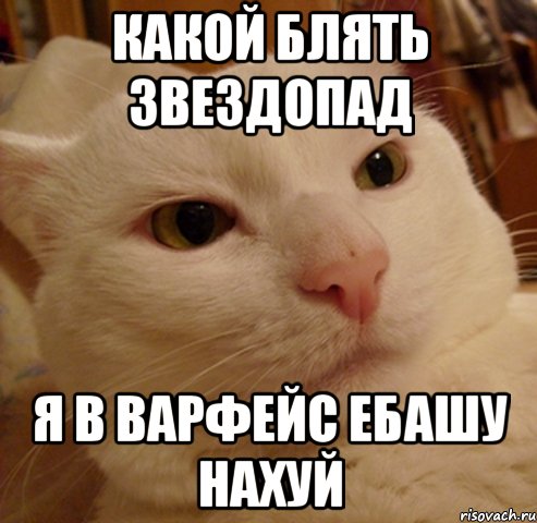 какой блять звездопад я в варфейс ебашу нахуй