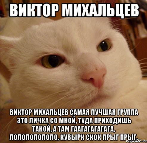 виктор михальцев виктор михальцев самая лучшая группа это личка со мной, туда приходишь такой, а там гаагагагагага, лолололололо, кувырк скок прыг прыг., Мем Дерзкий котэ