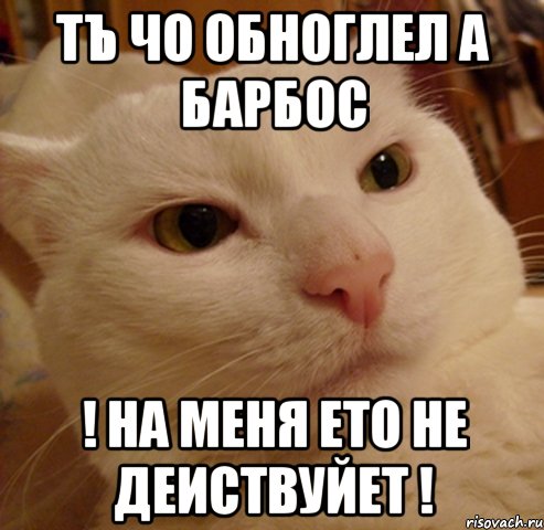 тъ чо обноглел а барбос ! на меня ето не деиствуйет !, Мем Дерзкий котэ