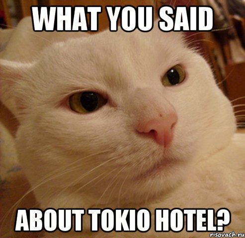 what you said about tokio hotel?