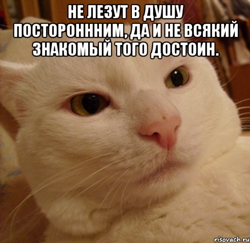 не лезут в душу постороннним, да и не всякий знакомый того достоин. , Мем Дерзкий котэ
