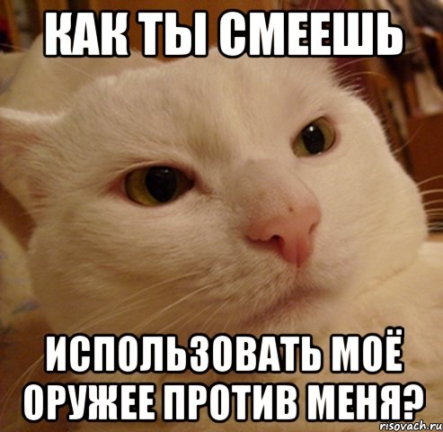 как ты смеешь использовать моё оружее против меня?, Мем Дерзкий котэ