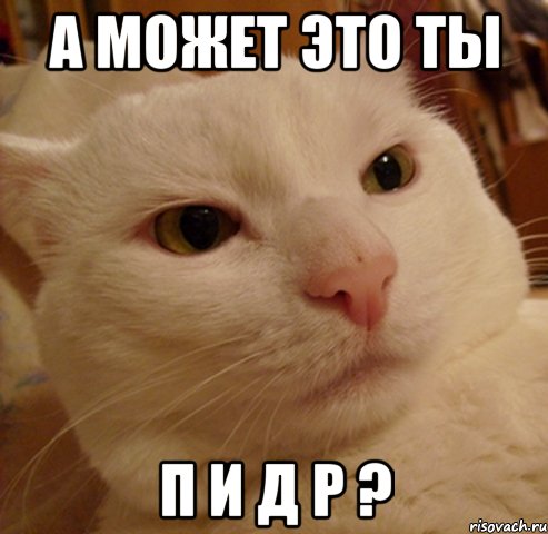 а может это ты п и д р ?, Мем Дерзкий котэ