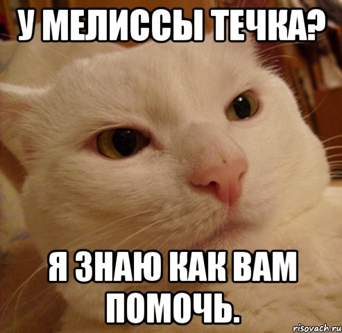 у мелиссы течка? я знаю как вам помочь., Мем Дерзкий котэ
