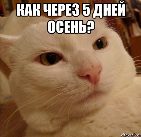 как через 5 дней осень? 