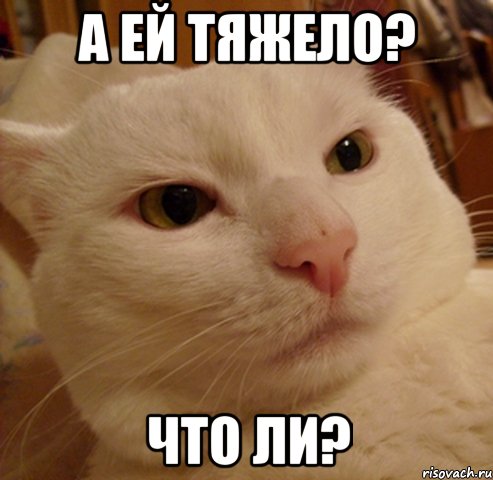 а ей тяжело? что ли?, Мем Дерзкий котэ