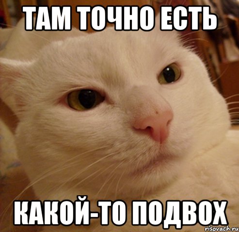 там точно есть какой-то подвох
