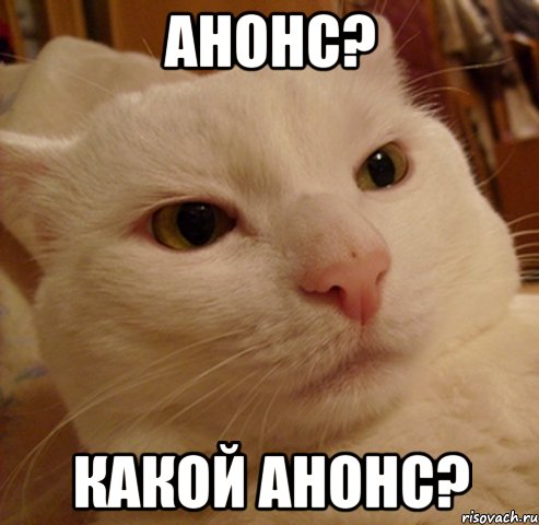 анонс? какой анонс?, Мем Дерзкий котэ