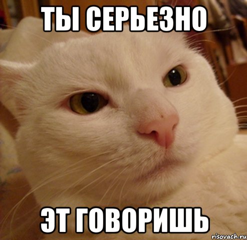 ты серьезно эт говоришь