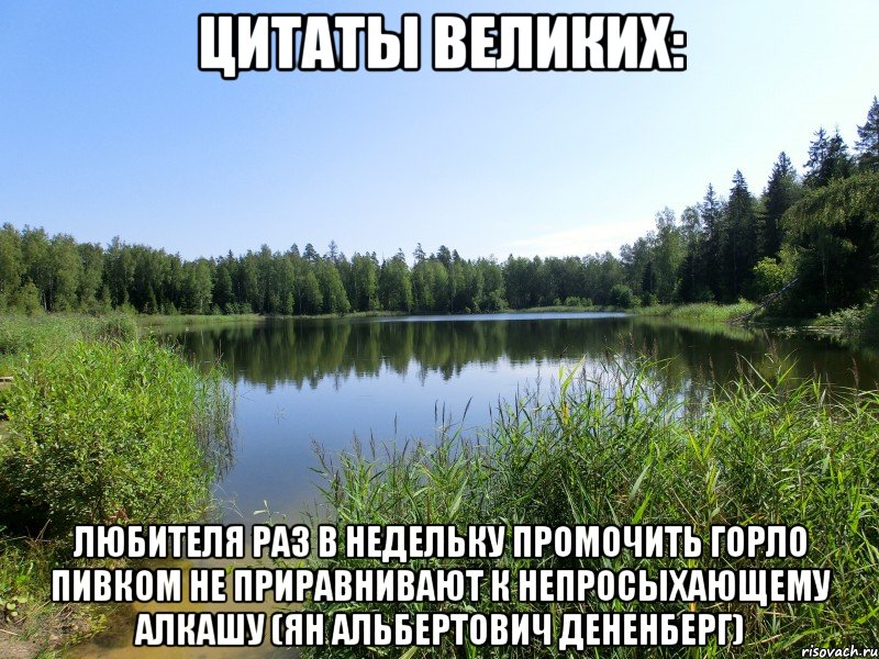 цитаты великих: любителя раз в недельку промочить горло пивком не приравнивают к непросыхающему алкашу (ян альбертович дененберг), Мем девушка моей мечты