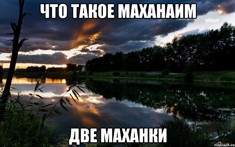 что такое маханаим две маханки, Мем девушка моей мечты