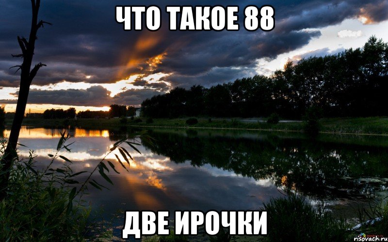 что такое 88 две ирочки, Мем девушка моей мечты