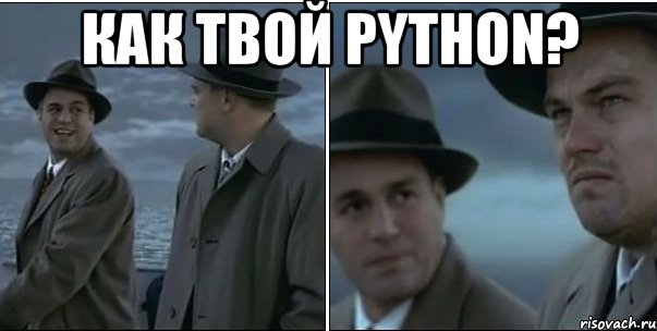 как твой python? , Мем ди каприо