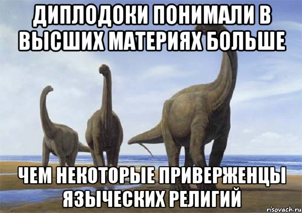 диплодоки понимали в высших материях больше чем некоторые приверженцы языческих религий, Мем Диплодоки
