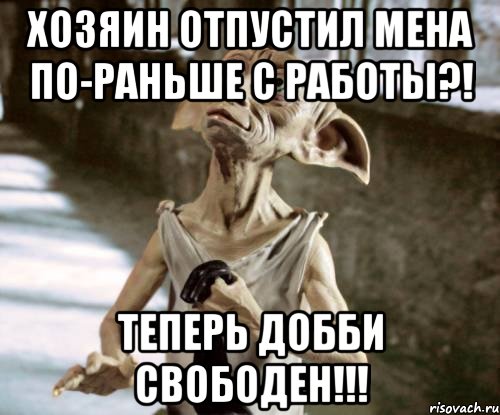 хозяин отпустил мена по-раньше с работы?! теперь добби свободен!!!, Мем добби