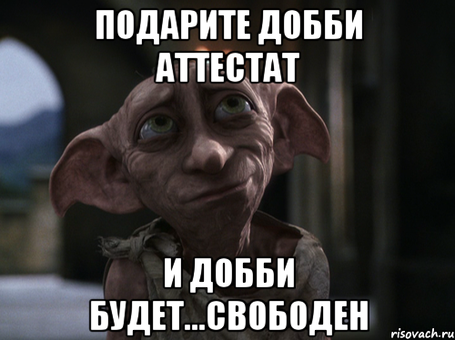 Что подарили добби Что подарили добби