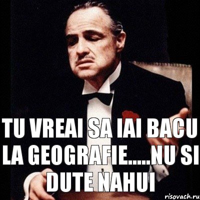 Tu vreai sa iai bacu la geografie.....nu si dute nahui, Комикс Дон Вито Корлеоне 1