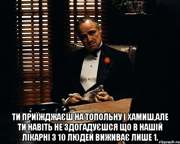  ти приїжджаєш на топольну і хамиш,але ти навіть не здогадуєшся що в нашій лікарні з 10 людей виживає лише 1., Мем Дон Вито Корлеоне