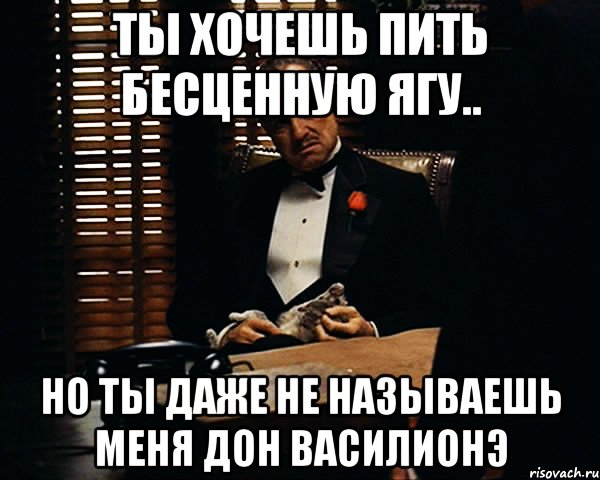 ты хочешь пить бесценную ягу.. но ты даже не называешь меня дон василионэ, Мем Дон Вито Корлеоне