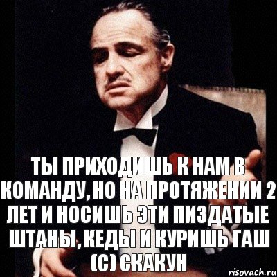 Ты приходишь к нам в команду, но на протяжении 2 лет и носишь эти пиздатые штаны, кеды и куришь гаш (с) Скакун, Комикс Дон Вито Корлеоне 1