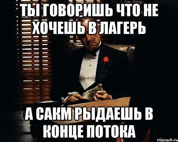 ты говоришь что не хочешь в лагерь а сакм рыдаешь в конце потока, Мем Дон Вито Корлеоне