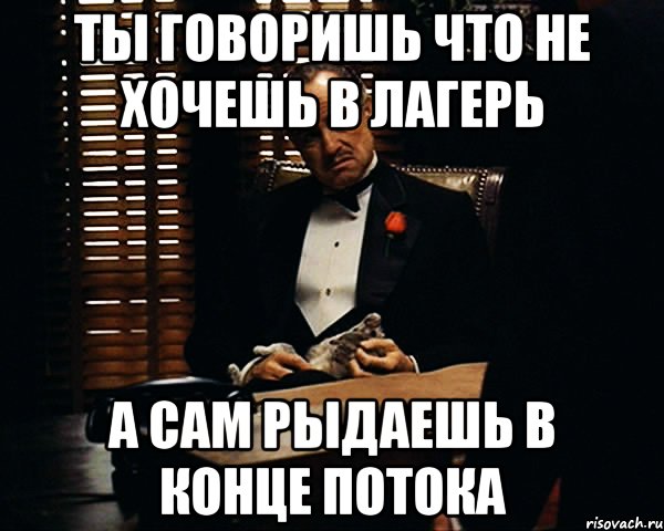 ты говоришь что не хочешь в лагерь а сам рыдаешь в конце потока, Мем Дон Вито Корлеоне