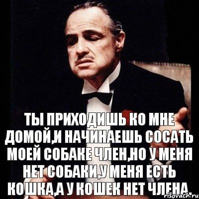 Ты приходишь ко мне домой,и начинаешь сосать моей собаке член,но у меня нет собаки,у меня есть кошка,а у кошек нет члена., Комикс Дон Вито Корлеоне 1