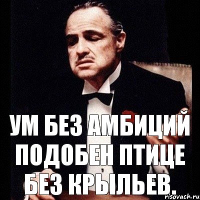 Ум без амбиций подобен птице без крыльев.