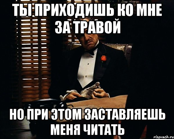 ты приходишь ко мне за травой но при этом заставляешь меня читать, Мем Дон Вито Корлеоне