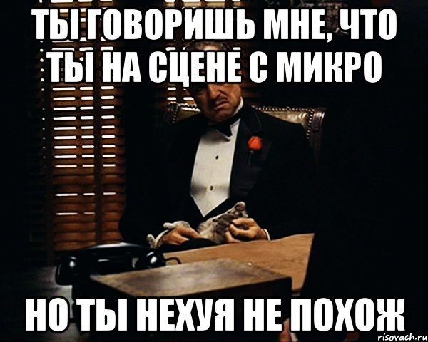 ты говоришь мне, что ты на сцене с микро но ты нехуя не похож, Мем Дон Вито Корлеоне