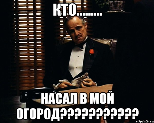 кто......... насал в мой огород???, Мем Дон Вито Корлеоне