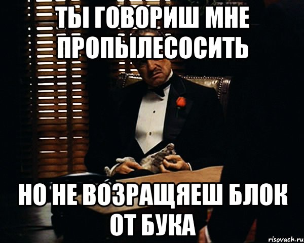 ты говориш мне пропылесосить но не возращяеш блок от бука, Мем Дон Вито Корлеоне