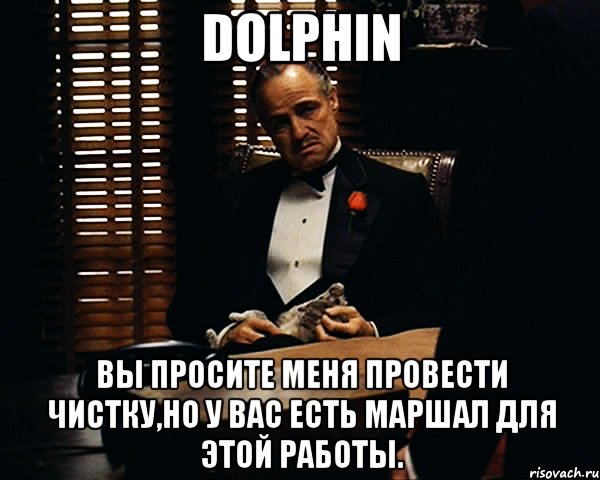 dolphin вы просите меня провести чистку,но у вас есть маршал для этой работы., Мем Дон Вито Корлеоне