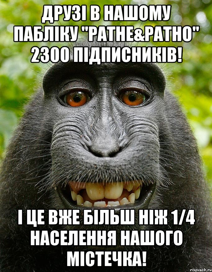 друзі в нашому пабліку "ратне&ратно" 2300 підписників! і це вже більш ніж 1/4 населення нашого містечка!, Мем  Довольная обезьяна