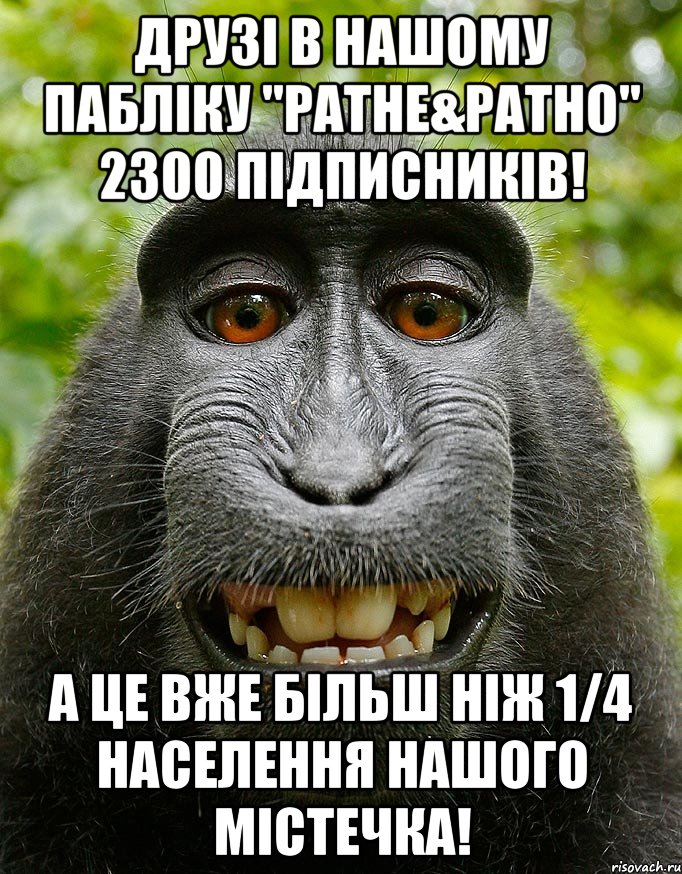 друзі в нашому пабліку "ратне&ратно" 2300 підписників! а це вже більш ніж 1/4 населення нашого містечка!, Мем  Довольная обезьяна