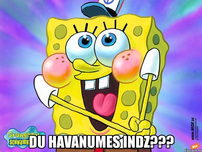  du havanumes indz???, Мем Du havanumes indz