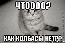 чтоооо? как колбасы нет??, Мем егнег