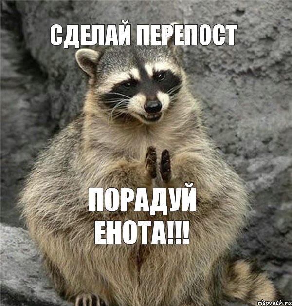 СДЕЛАЙ ПЕРЕПОСТ ПОРАДУЙ ЕНОТА!!!