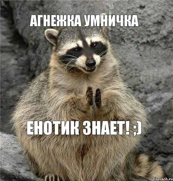 агнежка умничка енотик знает! ;)