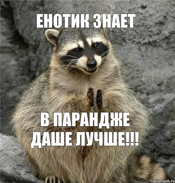 енотик знает в парандже даше лучше!!!