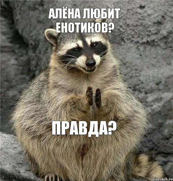 алёна любит енотиков? правда?