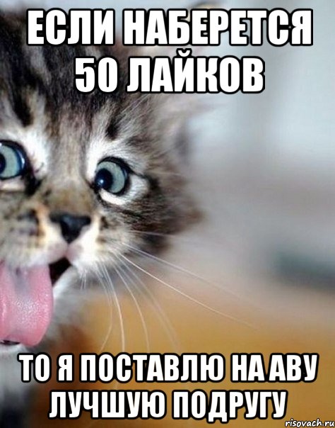 если наберется 50 лайков то я поставлю на аву лучшую подругу
