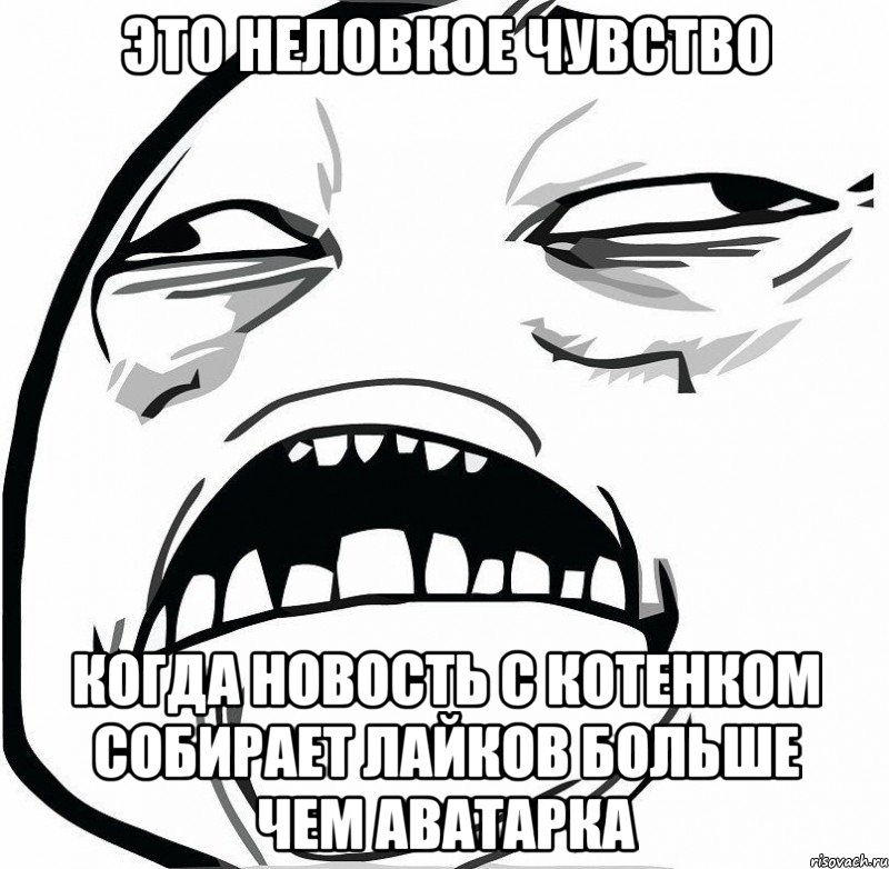 это неловкое чувство когда новость с котенком собирает лайков больше чем аватарка