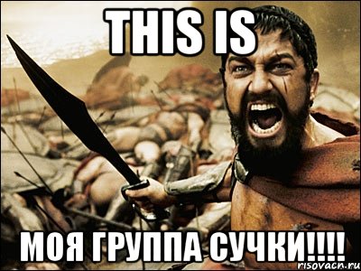 this is моя группа сучки!!!, Мем Это Спарта