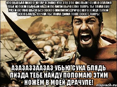 кто выебал моего кота? я знаю кто это это кислый ! сука я спалил тебя котоём ебаный надуй по айпи вычеслю тварь ты такая ещё раз и останешься без своего милипиздрического хуйца тупой осёл блядь !сучка ты такая дима тоже сосёт тварь! азазаззаазаз убью сука блядь пизда тебе найду поломаю этим ножём в моей драчуле!, Мем Это Спарта