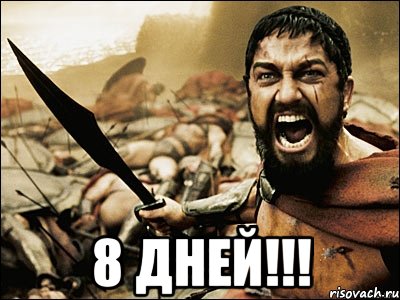  8 дней!!!, Мем Это Спарта